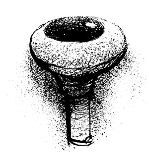 Иллюстрация к книге — Путешествие на Тандадрику [i_041.jpg]