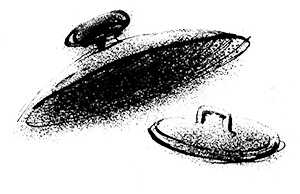 Иллюстрация к книге — Путешествие на Тандадрику [i_043.jpg]