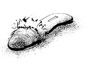 Иллюстрация к книге — Путешествие на Тандадрику [i_044.jpg]