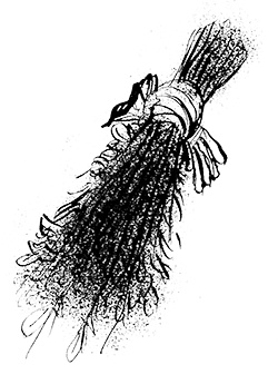 Иллюстрация к книге — Путешествие на Тандадрику [i_053.jpg]