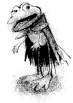 Иллюстрация к книге — Путешествие на Тандадрику [i_062.jpg]