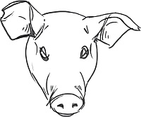 Иллюстрация к книге — Есть, любить, наслаждаться. Еда. Путеводитель-травелог для женщин по ресторанам, кухням и рынкам мира [_05.jpg]