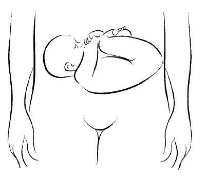 Иллюстрация к книге — Йога для беременных [i_024.jpg]