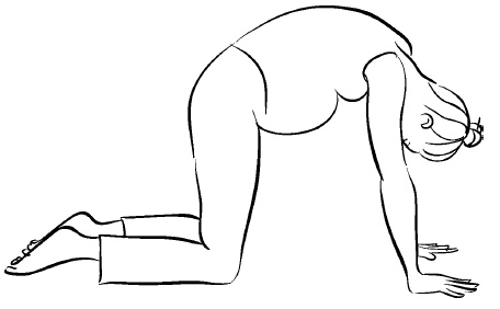 Иллюстрация к книге — Йога для беременных [i_032.jpg]