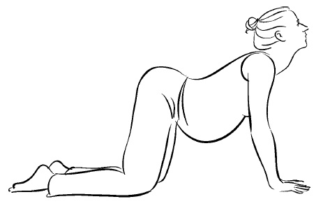 Иллюстрация к книге — Йога для беременных [i_033.jpg]