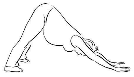 Иллюстрация к книге — Йога для беременных [i_034.jpg]