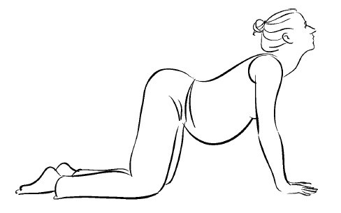 Иллюстрация к книге — Йога для беременных [i_053.jpg]