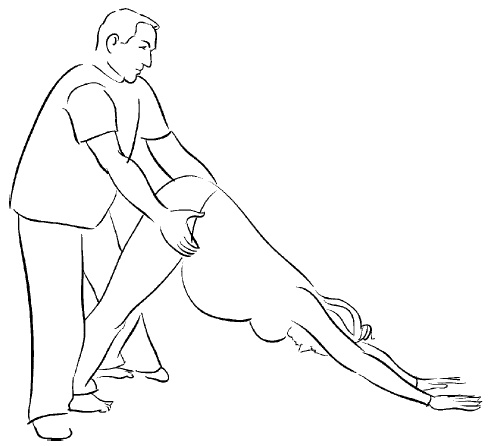 Иллюстрация к книге — Йога для беременных [i_065.jpg]