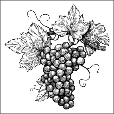 Иллюстрация к книге — Француженки едят с удовольствием. Уроки любви и кулинарии от современной Джулии Чайлд [_021.jpg]