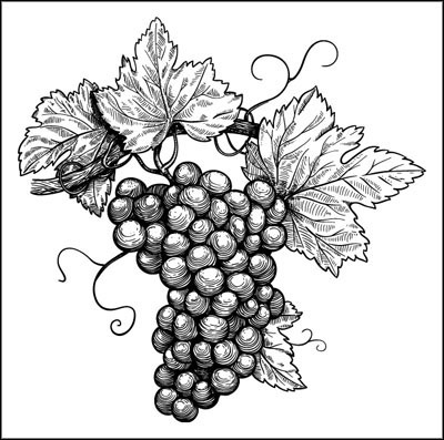 Иллюстрация к книге — Француженки едят с удовольствием. Уроки любви и кулинарии от современной Джулии Чайлд [_208.jpg]