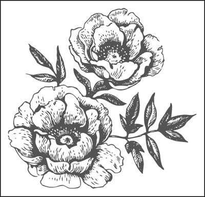 Иллюстрация к книге — Француженки едят с удовольствием. Уроки любви и кулинарии от современной Джулии Чайлд [_244.jpg]