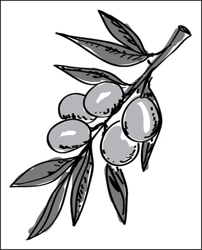 Иллюстрация к книге — Француженки едят с удовольствием. Уроки любви и кулинарии от современной Джулии Чайлд [_284.jpg]