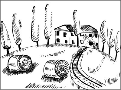 Иллюстрация к книге — Француженки едят с удовольствием. Уроки любви и кулинарии от современной Джулии Чайлд [_325.jpg]