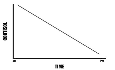 Иллюстрация к книге — Палеодиета – живое питание для здоровья [i_012.jpg]