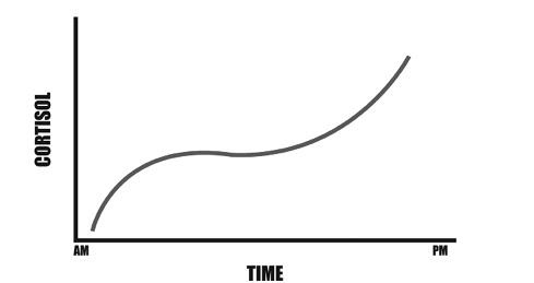 Иллюстрация к книге — Палеодиета – живое питание для здоровья [i_013.jpg]