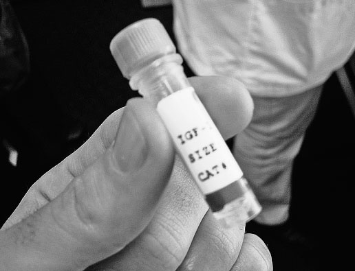 Иллюстрация к книге — Совершенное тело за 4 часа [i_087.jpg]