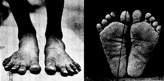 Иллюстрация к книге — Совершенное тело за 4 часа [i_089.jpg]