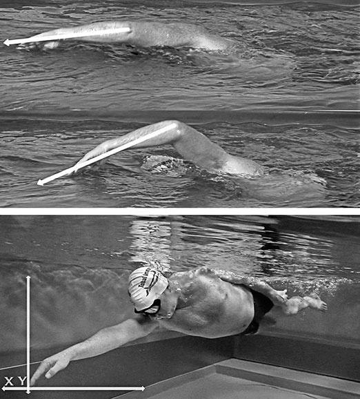 Иллюстрация к книге — Совершенное тело за 4 часа [i_157.jpg]