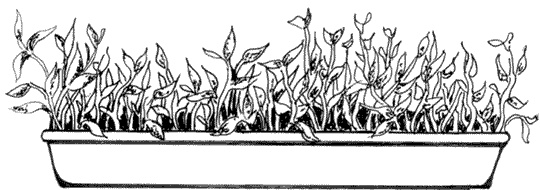 Иллюстрация к книге — Ковчег для Робинзона. Все о жизни морского кочевника [i_022.jpg]