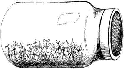 Иллюстрация к книге — Ковчег для Робинзона. Все о жизни морского кочевника [i_028.jpg]