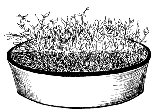 Иллюстрация к книге — Ковчег для Робинзона. Все о жизни морского кочевника [i_029.jpg]