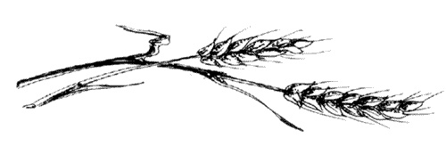 Иллюстрация к книге — Ковчег для Робинзона. Все о жизни морского кочевника [i_030.jpg]