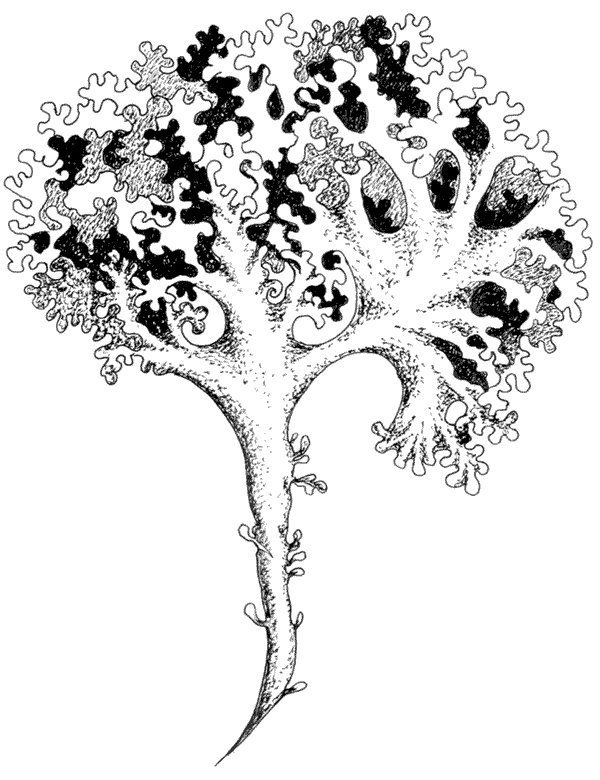 Иллюстрация к книге — Ковчег для Робинзона. Все о жизни морского кочевника [i_039.jpg]