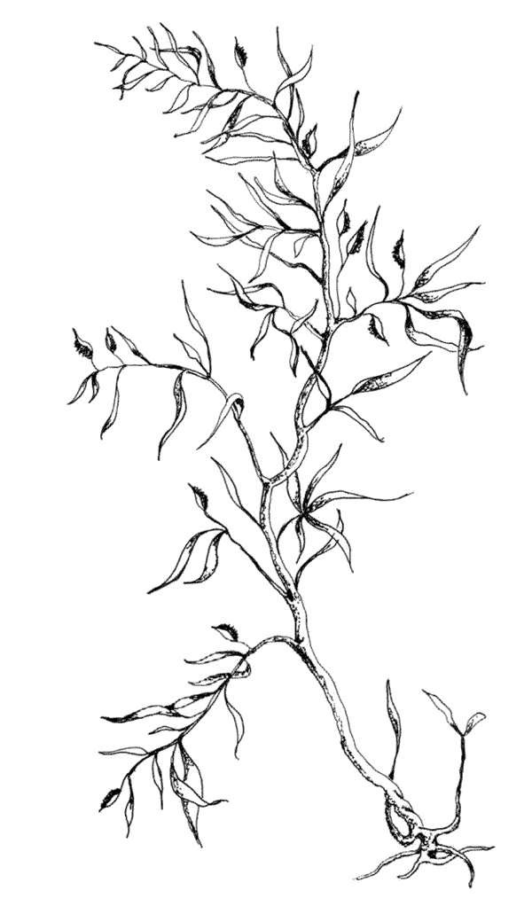 Иллюстрация к книге — Ковчег для Робинзона. Все о жизни морского кочевника [i_045.jpg]