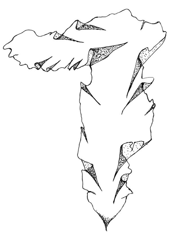 Иллюстрация к книге — Ковчег для Робинзона. Все о жизни морского кочевника [i_049.jpg]