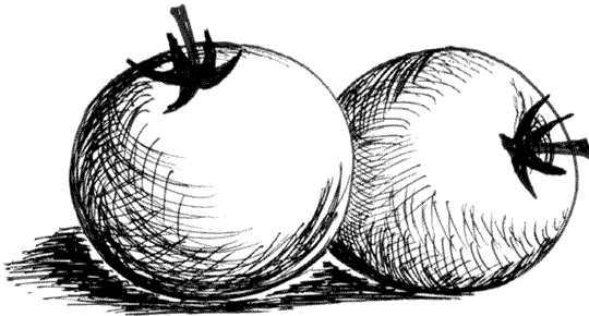 Иллюстрация к книге — Ковчег для Робинзона. Все о жизни морского кочевника [i_056.jpg]