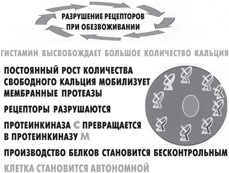 Иллюстрация к книге — Вода – натуральное лекарство от ожирения, рака, депрессии [i_016.jpg]