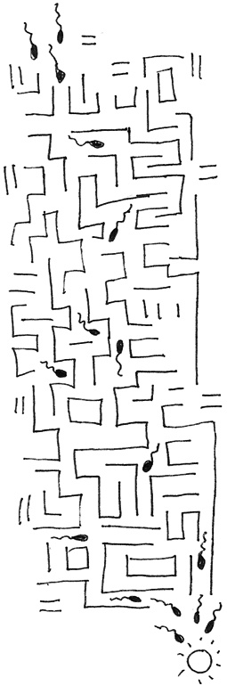 Иллюстрация к книге — Девчонкология [i_020.jpg]