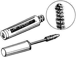 Иллюстрация к книге — Макияж. Краткая энциклопедия [i_007.jpg]