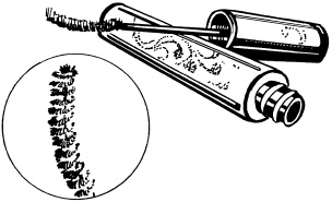 Иллюстрация к книге — Макияж. Краткая энциклопедия [i_008.jpg]
