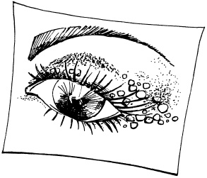 Иллюстрация к книге — Макияж. Краткая энциклопедия [i_009.jpg]