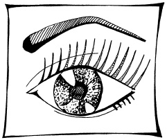 Иллюстрация к книге — Макияж. Краткая энциклопедия [i_054.jpg]