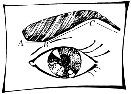 Иллюстрация к книге — Макияж. Краткая энциклопедия [i_058.jpg]