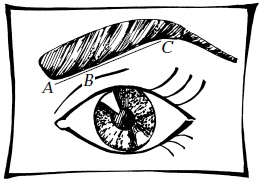 Иллюстрация к книге — Макияж. Краткая энциклопедия [i_059.jpg]