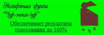 Иллюстрация к книге — Пережить бы выборы [_09.jpg]