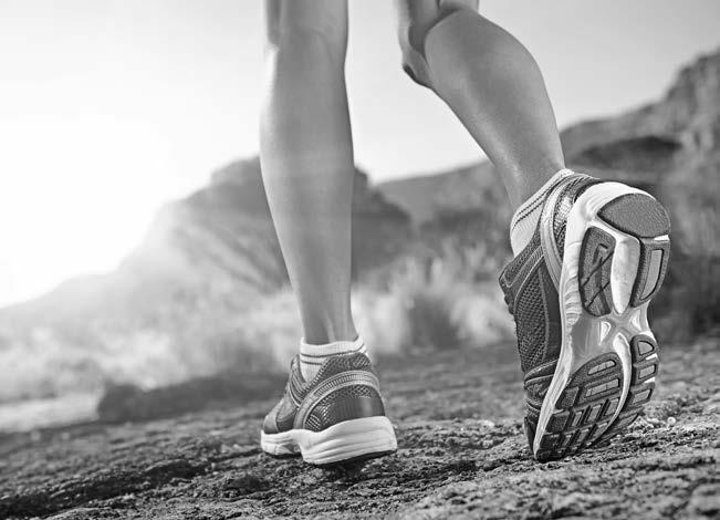 Иллюстрация к книге — Бег для всех. Доступная программа тренировок [i_003.jpg]