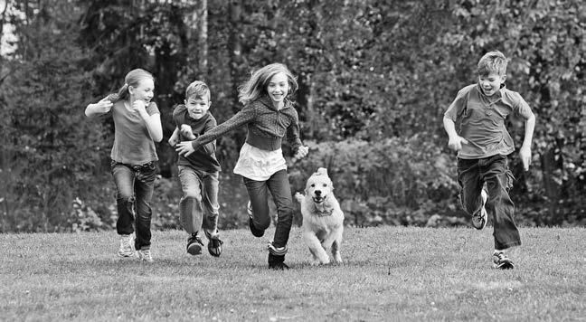 Иллюстрация к книге — Бег для всех. Доступная программа тренировок [i_018.jpg]