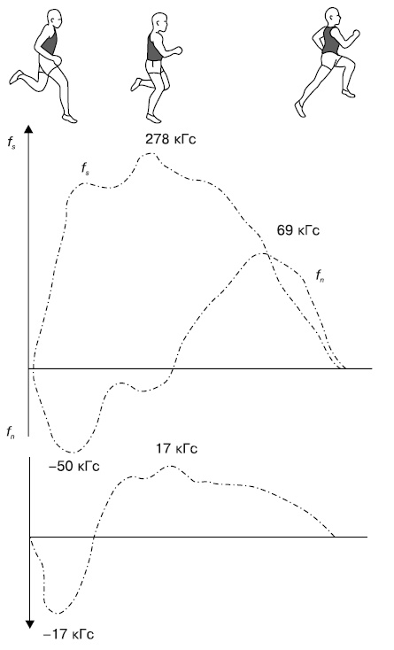 Иллюстрация к книге — Бег для всех. Доступная программа тренировок [i_042.jpg]