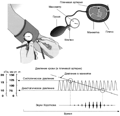 Иллюстрация к книге — Питание для сердца и сосудов [i_006.jpg]