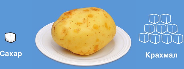 Иллюстрация к книге — Мифы о сахаре. Как заблуждения убивают нас [i_009.jpg]