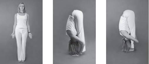 Иллюстрация к книге — Йога для стройности, здоровья и красоты [_03_.jpg]