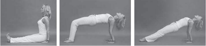 Иллюстрация к книге — Йога для стройности, здоровья и красоты [_53_.jpg]