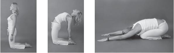 Иллюстрация к книге — Йога для стройности, здоровья и красоты [_80_.jpg]