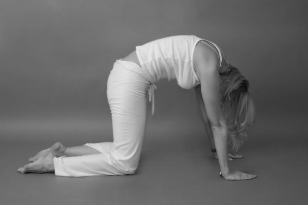 Иллюстрация к книге — Йога для стройности, здоровья и красоты [_85.jpg]