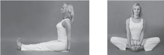 Иллюстрация к книге — Йога для стройности, здоровья и красоты [_96_.jpg]