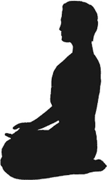 Иллюстрация к книге — Йога для всех. Руководство для начинающих [i_014.jpg]